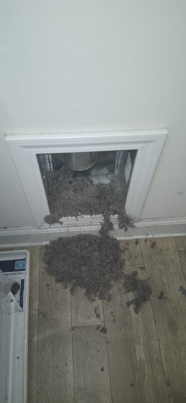 Behind-the-dryer clean