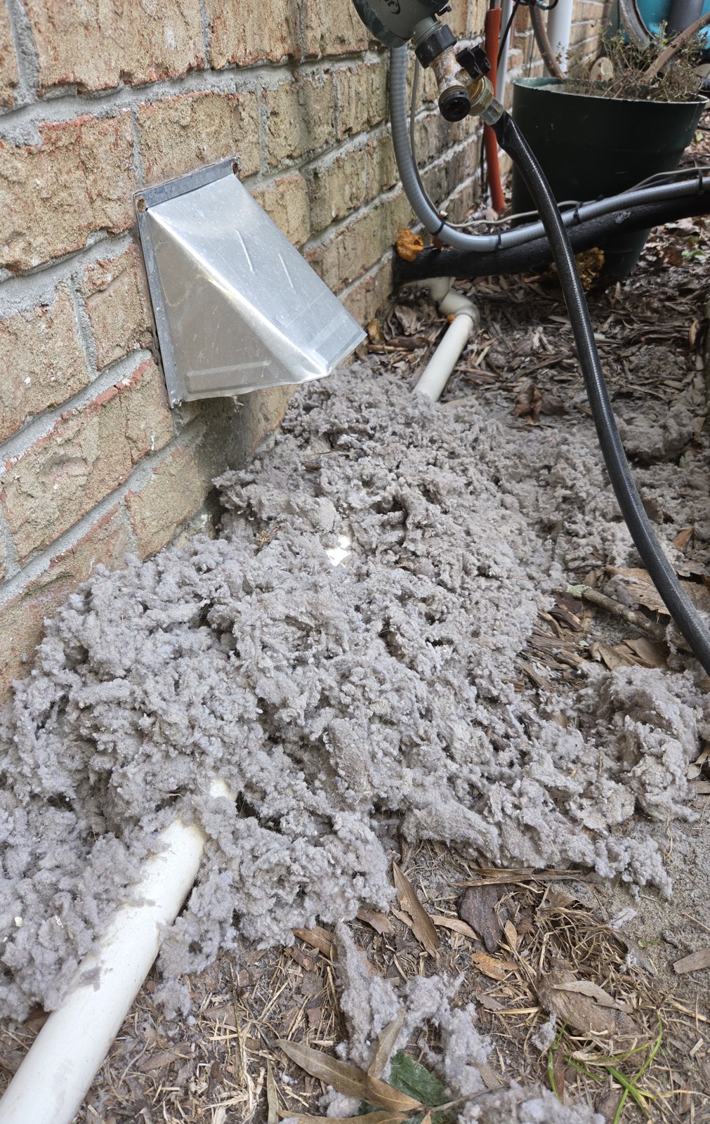 Five years of lint, out